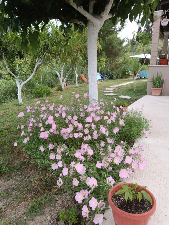 House On The Hill * Lefkimmi (Corfu)