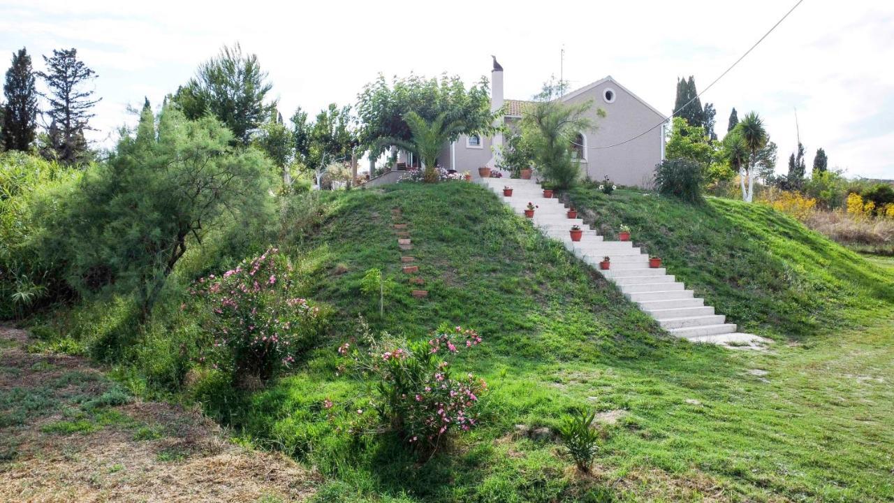 House On The Hill