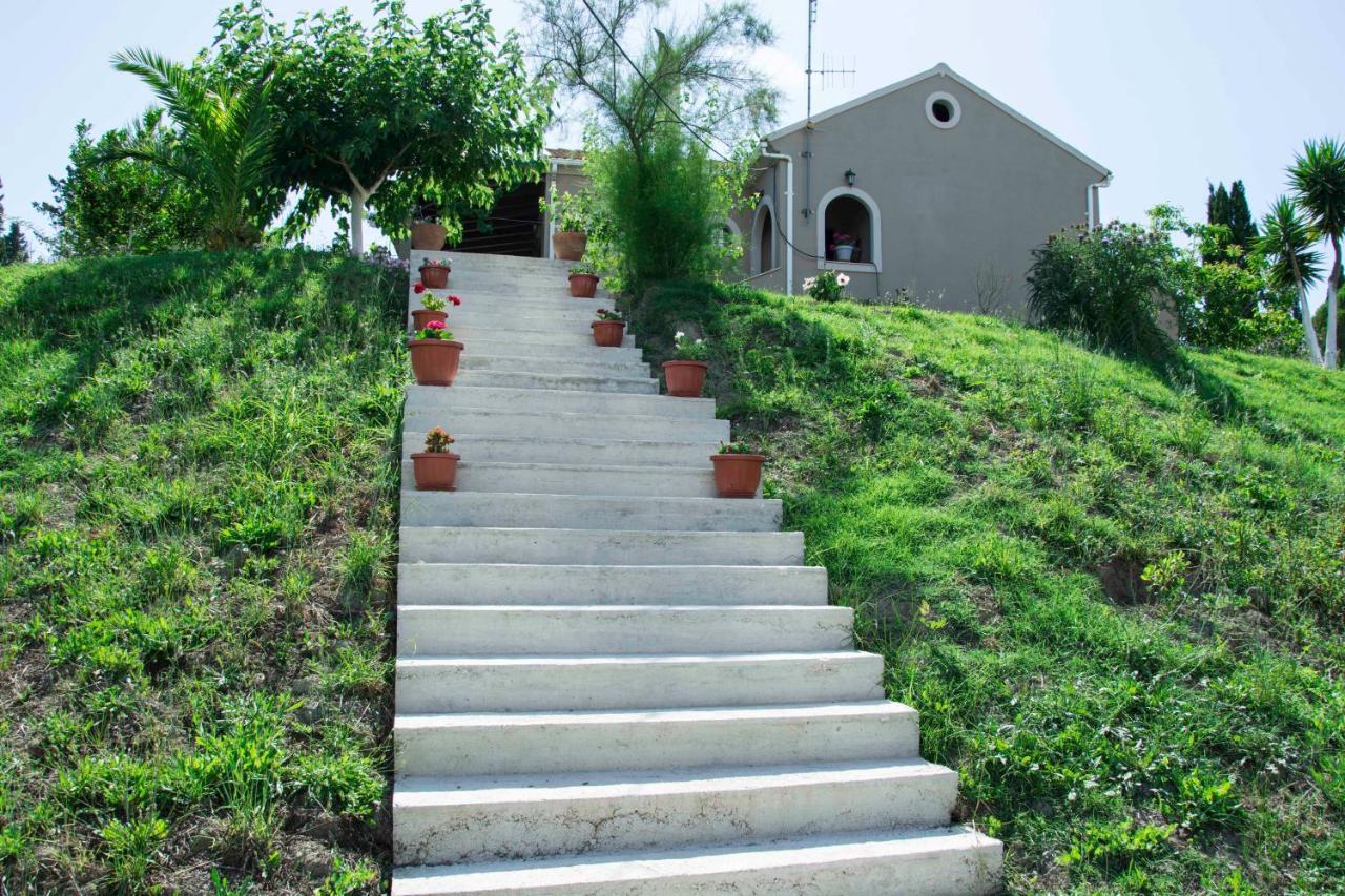 House On The Hill *